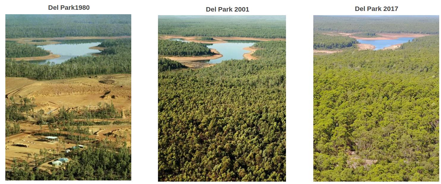 Huntly Bauxite Mine rehabilitation 1980-2017 © Alcoa